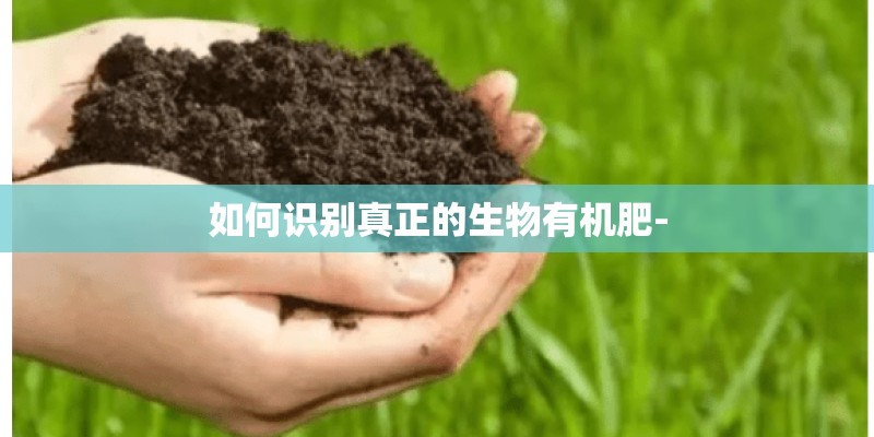密云区必去的10个景点 密云区必去的10个景点