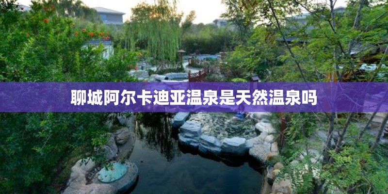聊城阿尔卡迪亚温泉是天然温泉吗
