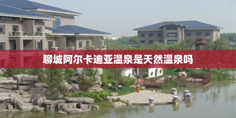 聊城阿尔卡迪亚温泉是天然温泉吗