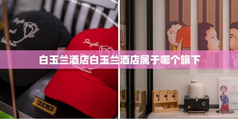 白玉兰酒店白玉兰酒店属于哪个旗下