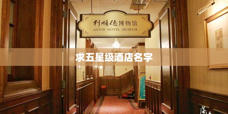 求五星级酒店名字
