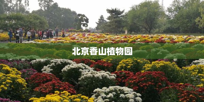 北京香山植物园