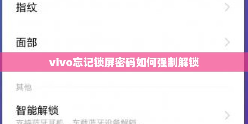 vivo忘记锁屏密码如何强制解锁