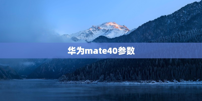 华为mate40参数 华为mate40参数