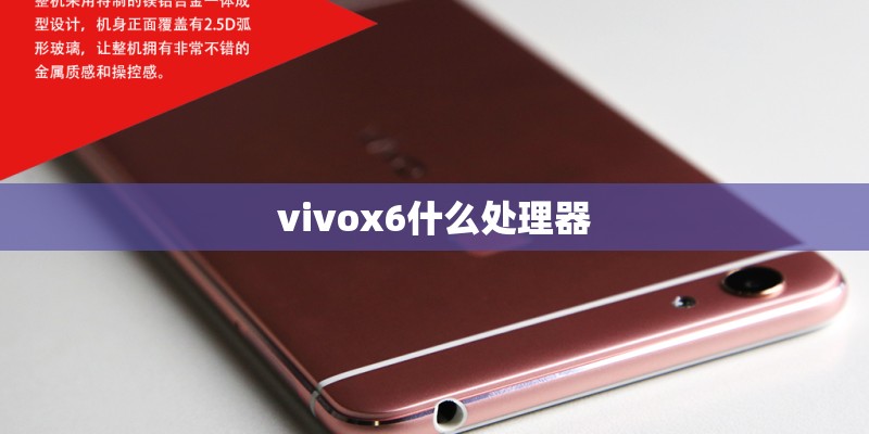 vivox6什么处理器