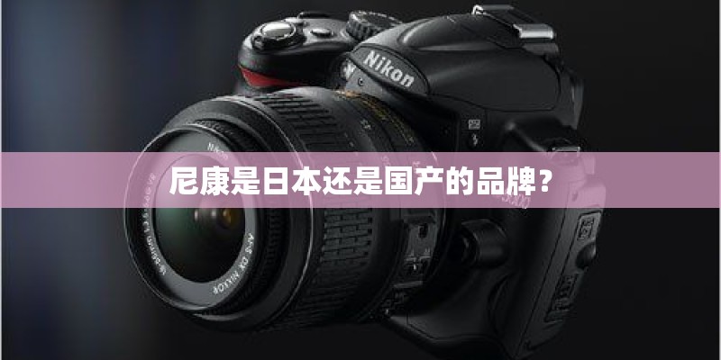 尼康是日本还是国产的品牌? 尼康是日本还是国产的品牌?