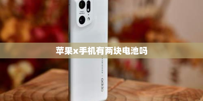 苹果x手机有两块电池吗