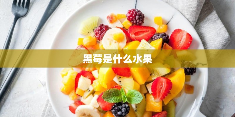 黑莓是什么水果