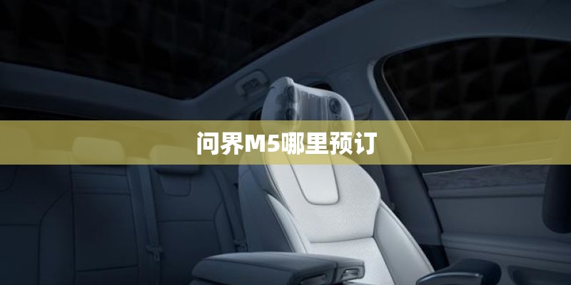 问界M5哪里预订