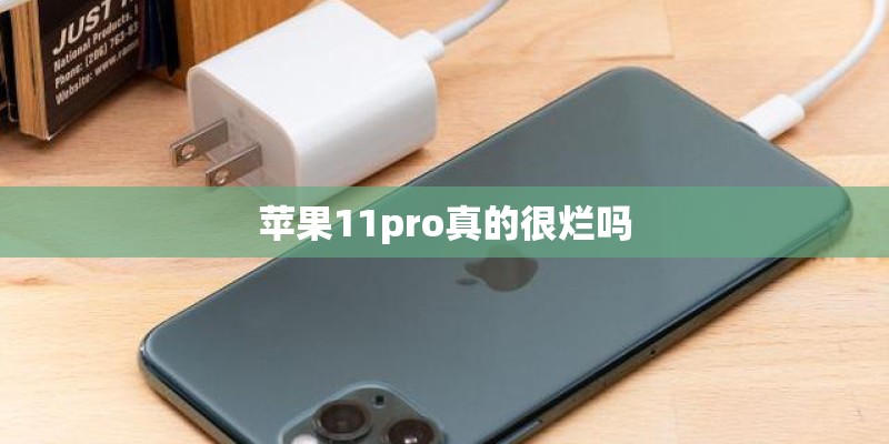 苹果11pro真的很烂吗