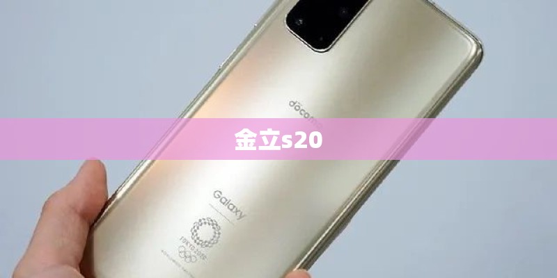 金立s20