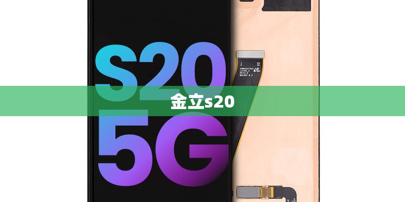 金立s20