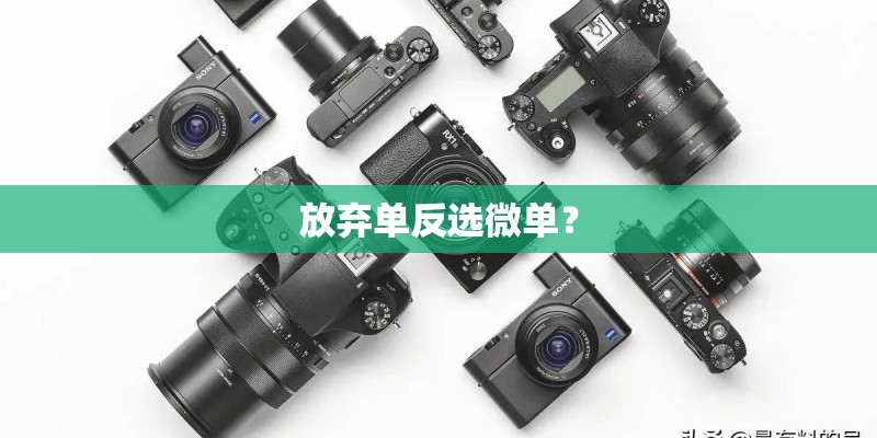 放弃单反选微单？
