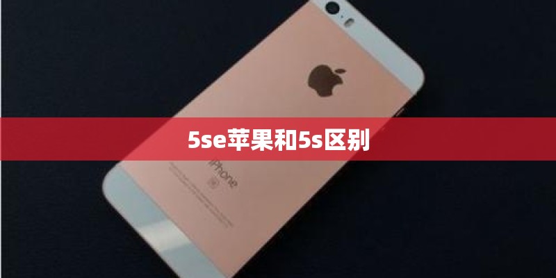 5se苹果和5s区别