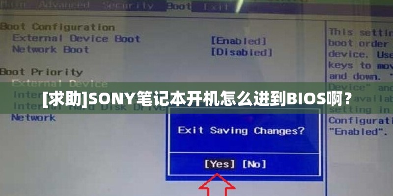 [求助]SONY笔记本开机怎么进到BIOS啊？
